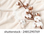 Branch of cotton flowers on soft bath terry towel background top view. Eco and organic bathroom accessory for spa, wellbeing and healthy lifestyle.