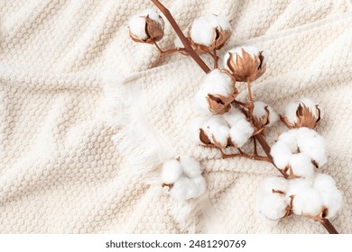 Branch of cotton flowers on soft bath terry towel background top view. Eco and organic bathroom accessory for spa, wellbeing and healthy lifestyle.