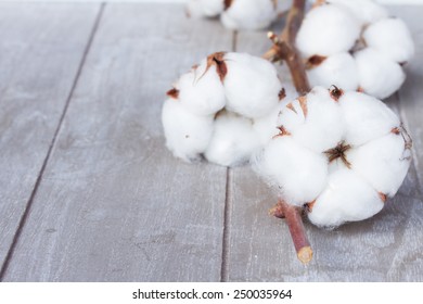 Branch Of  Cotton Plant Bud On Gray Wooden Background