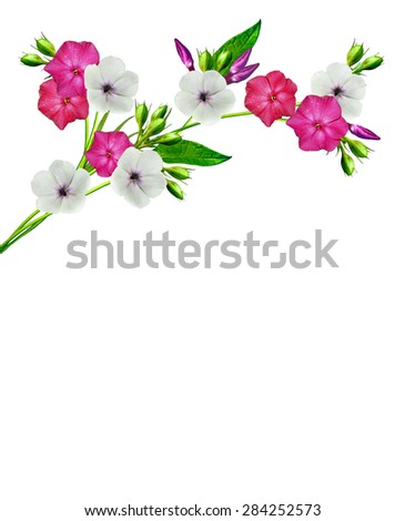 Similar – Image, Stock Photo Daisies in a small white vase on a stone border