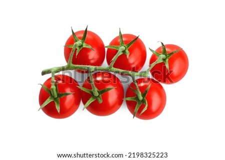 Branch of fresh cherry tomatoes isolated on white, top view