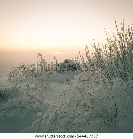 Similar – Foto Bild Rauhreif Winter Natur