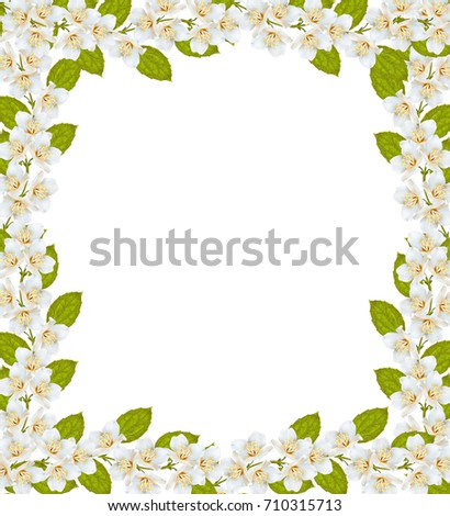 Similar – Hops frame on white background