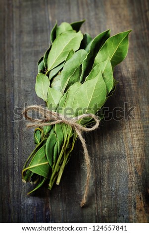 branch of laurel bay leaves on a wooden board
