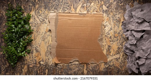 Branch With Leaf On Chipboard Plywood Background Texture. Ecology Concept Or Recycle Concept With Waste Paper