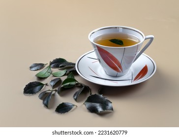 A branch and leaves of Yaupon holly lie near a porcelain cup and teapot on a table. Tonic herbal tea. - Shutterstock ID 2231620779