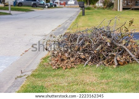 Branch and limb pile along street. Curbside branch pickup, collection, and yard waste disposal concept.