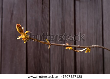 Foto Bild Carport Deko Leben Sonne