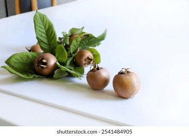 Branch with medlars fruit and medlars isolated on a white background. Healthy autumn fruit. Mespilus germanica. - Powered by Shutterstock