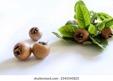 Branch with medlars fruit and medlars isolated on a white background. Healthy autumn fruit. Mespilus germanica. - Powered by Shutterstock