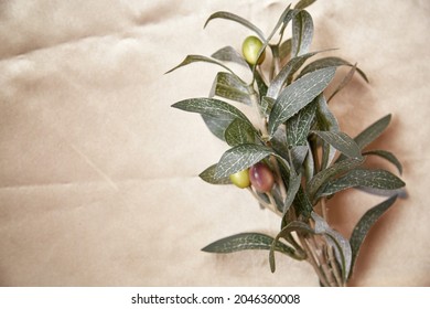 Branch Of Olive Tree, Home Decorations Close Up. Copy Space. High Quality Photo