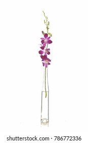 Branch Pink Orchid Flower With Bud In Glass Vase 
