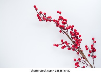 branch with red berries on a white background with place for text - Powered by Shutterstock