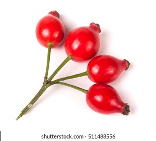 Branch Rosehip Isolated On White Background