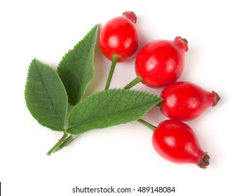 Branch Rosehip With Leaves Isolated On White Background