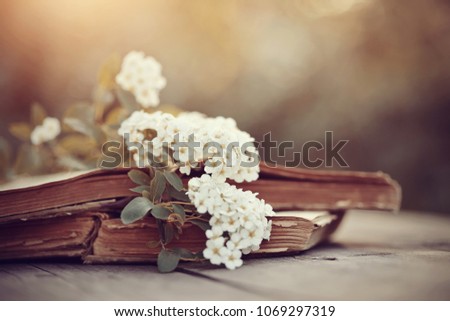 Branch of a spiraea and the old open books on a wooden table.