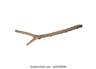 235,016 Tree sticks Images, Stock Photos & Vectors | Shutterstock