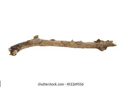 Branch Stick Or Twigs Isolated On White Background