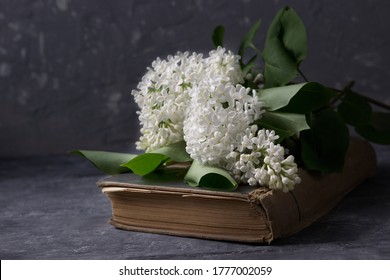 A Branch Of White Lilac On An Old Book.