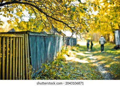 branch with yellow leaves above fence near rural road. Walking people in fall. Outing