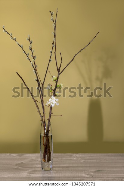 Branches Apple Tree Pussy Willow Vase Stock Photo Edit Now