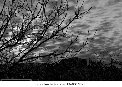 Branches of bare trees and a construction in the background against a cloudy sky, in a scene of atmosphere of terror