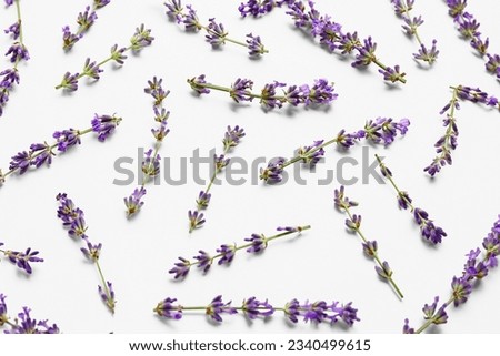 Similar – Wild flower pattern on white background