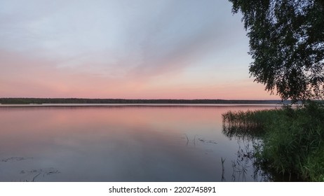 The Branches Of A Birch Tree Overhang The Calm Water Of The Lake. Reeds Grow In The Water. In The Evening After Sunset, The Sky Over The Lake Is Colored With Pink Tones
