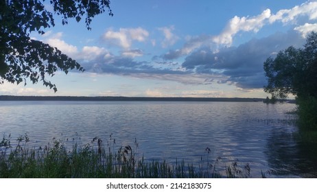 The Branches Of A Birch Tree Overhang The Water Near The Shore Of The Lake, There Are Reeds Growing In The Water There Is A Forest On The Opposite Shore. The Sky Is Blue With Clouds. There Are Ripples