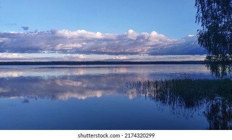 The Branches Of A Birch Tree Overhang The Water. Reeds Grow In The Water Near The Shore Of The Lake And There Are Ripples. On The Opposite Shore Is A Forest. The Blue Sky With Clouds Is Reflected