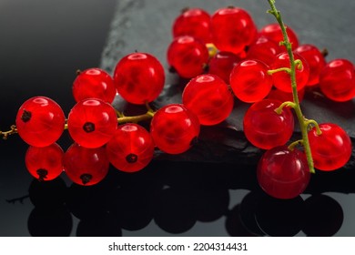 Branches Of Bright Red Currant On A Glossy Black Surface. Close-up.