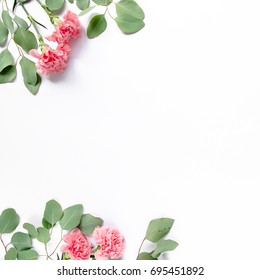 Branches of eucalyptus and clove pink, border frame, isolated on white background. The apartment lay, top view.