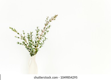 Branches of eucalyptus in vase on table on light background. Home decor. Blog, website or social media concept .