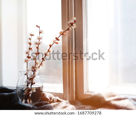 Branches of flowers in a vase with water on the window sill and the sun ligh in the window morning!
Artisanal and decorative concept.