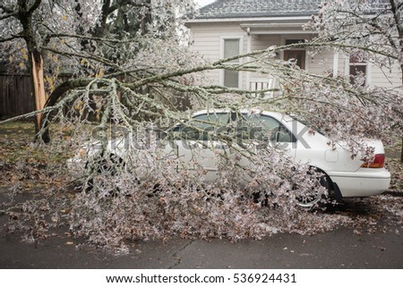 Branches of ice trees fell on a car by house background