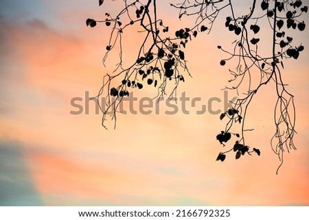 Similar – Image, Stock Photo branch Tree Strong Branch