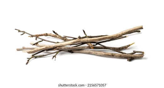 Branches pile isolated. Dry twigs pile ready for campfire, sticks, boughs heap for a fire, dry thin branches, brushwood - Shutterstock ID 2156571057
