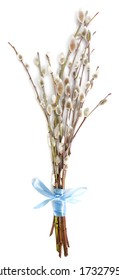 Branches Of The Pussy Willow With Blue Ribbon On White Background.