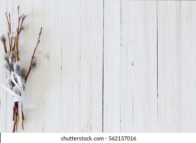 Branches Of The Pussy Willow On White Background