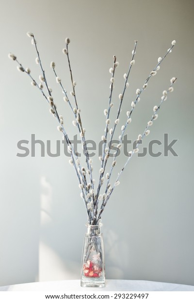 Branches Pussy Willow Vase Stock Photo Edit Now 293229497