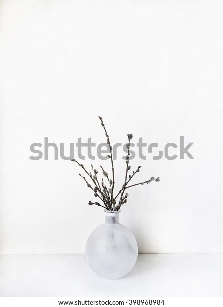 Branches Pussywillow White Vase White Table Stock Photo Edit Now