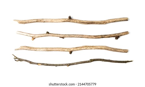 Branches set isolated. Dry twigs collection, sticks, boughs, dry thin branches, brushwood for rustic design, boho style - Shutterstock ID 2144705779