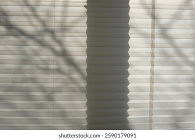 Branches through light on window blinds