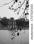 Branches of Tree in Hoan Kiem Lake (Ho Guom) in Hanoi - Vietnam