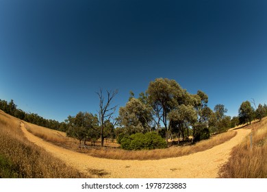 Branches In A Walking Track Through Bushland In The Australian Countryside Under A Clear Blue Sky, Landscape Curved With Fish Eye Lens