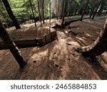 branching trench routes deepen into the wooded landscape. the planking of the walls protects the soldiers from being overwhelmed by soil. museum of war strategy