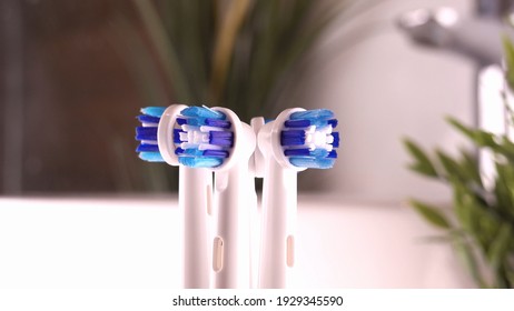 Brand New Electric Toothbrush Heads For Family Of Four In Bathroom Close Up
