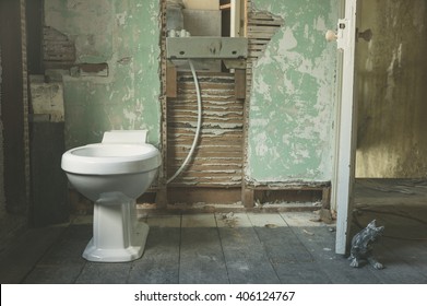 A Brand New Toilet Fitted In An Old Derelict Room Being Converted To A Bathroom