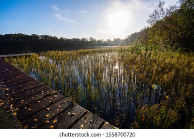 The Brantry Lough County Tyrone