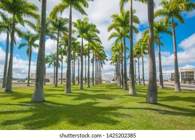 
Brasilia, DF, Brazil - Jun, 15, 2019: A View Of Three Powers Square (Praça Dos Três Poderes) In The City.